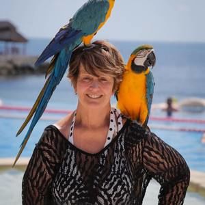 Meet your Posher, Rose